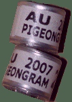 PigeonGram Logo